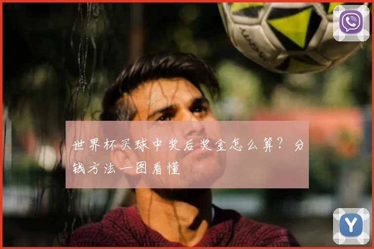 世界杯买球中奖后奖金怎么算?分钱方法一图看懂