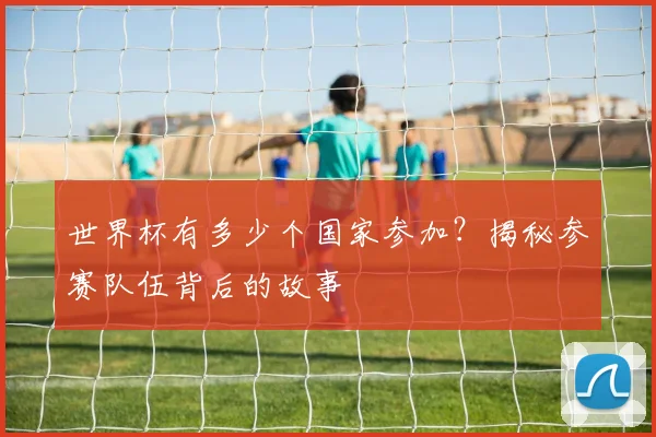 世界杯有多少个国家参加？揭秘参赛队伍背后的故事
