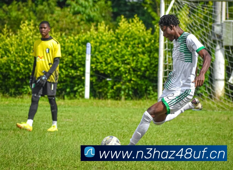 爱游戏ayx平台平台生态图